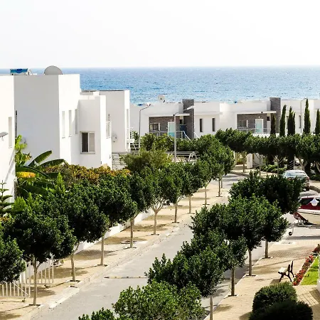 Lilach - Seaside, Caesar