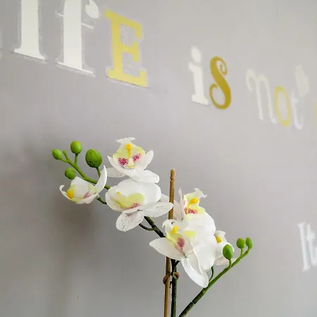 Lilach - Seaside, Caesar Willa Boghaz