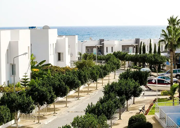 Lilach - Seaside, Caesar